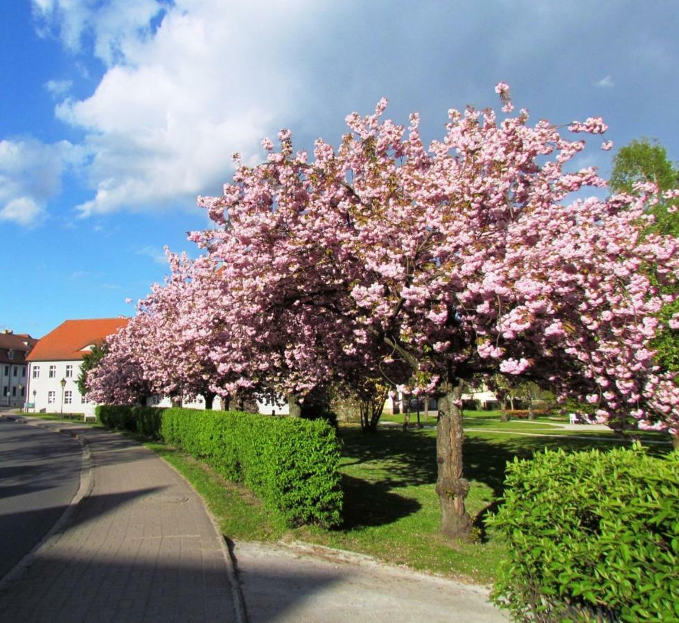 Kastanienhof Luebben Apartamento Exterior foto
